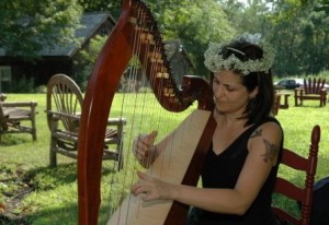 Celtic Harp in a field-Fantastic!