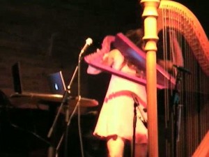 How a pedal harp works or how an Archaic Obsolete instrument survives in a world obsessed with new technology and innovation.