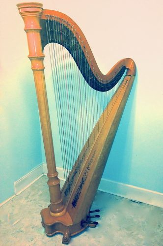photo-5